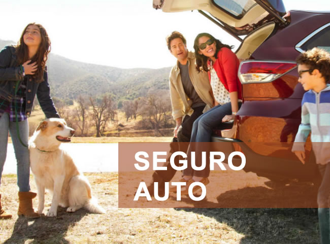 SEGUROAUTO2
